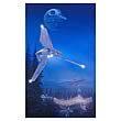 Star Wars Imperial Forest Paper Giclee
